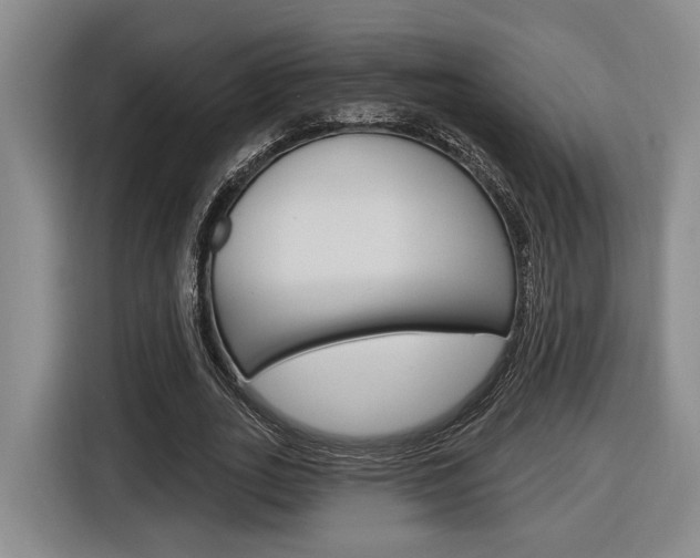 X0000116890727200912221004