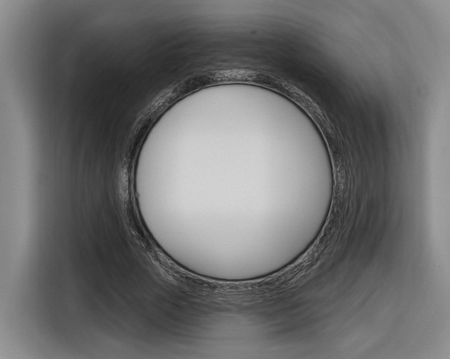 X0000116890729200912221004
