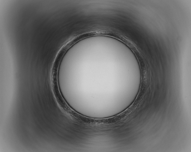 X0000116890730200912221004