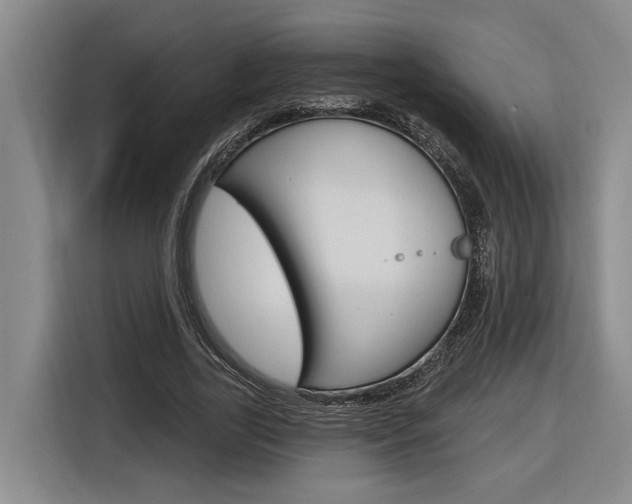 X0000116890731200912221004