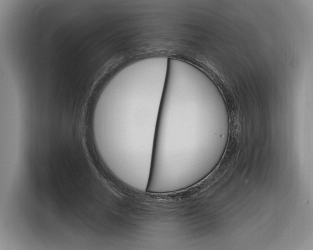 X0000116890738200912221004