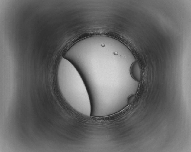 X0000116890739200912221004