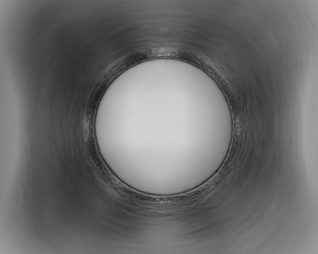 X0000116890741200912221004