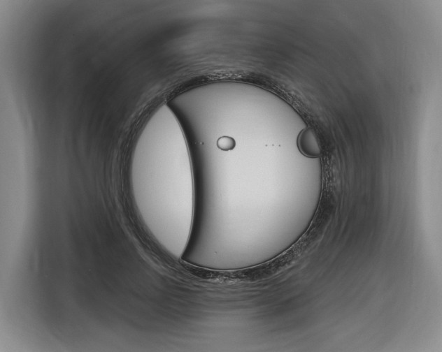 X0000116890742200912221004