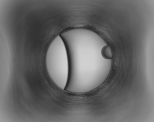 X0000116890743200912221004