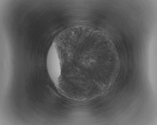 X0000116890745200912221004