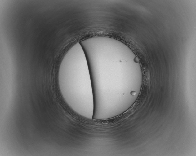 X0000116890746200912221004