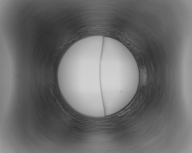 X0000116890747200912221004