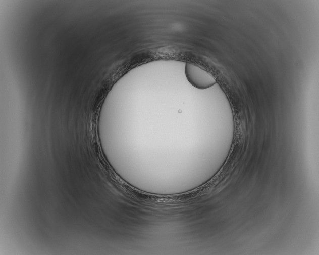 X0000116890749200912221004