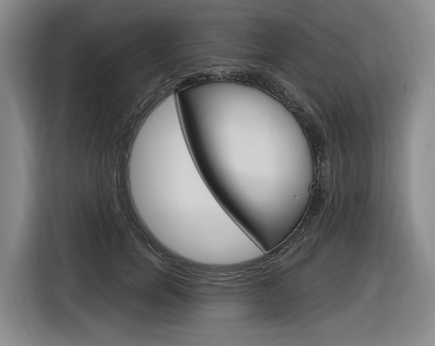 X0000116890750200912221004