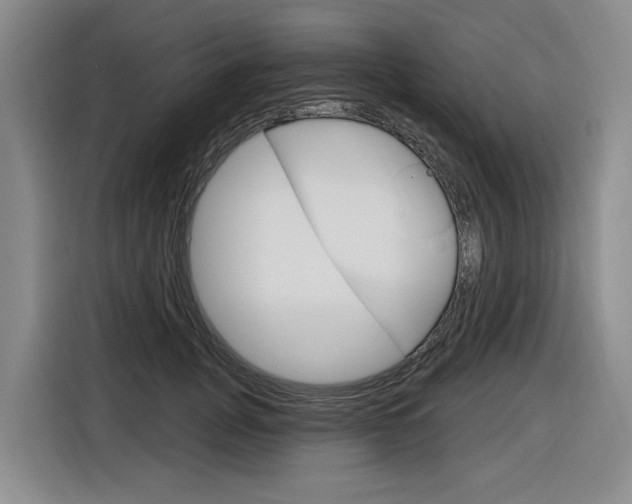X0000116890751200912221004