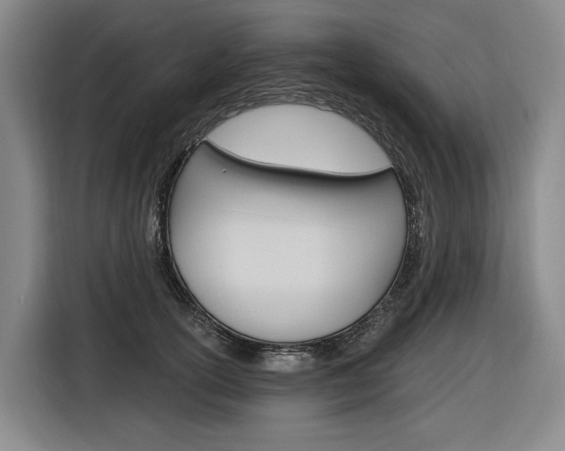 X0000116890754200912221004