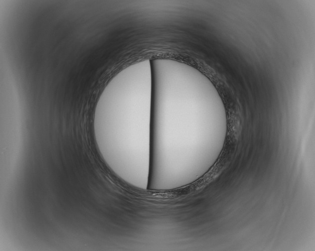 X0000116890758200912221004