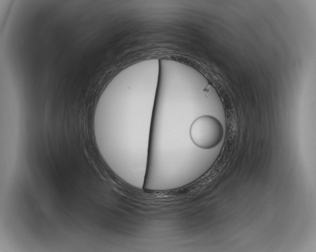 X0000116890759200912221004