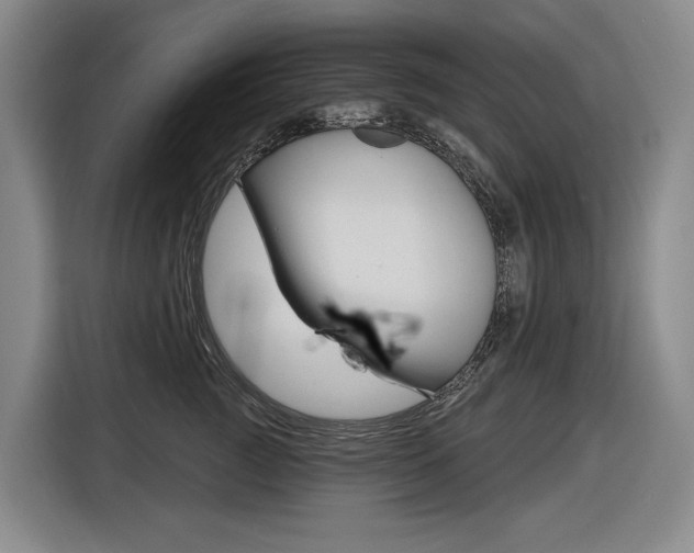 X0000116890761200912221004