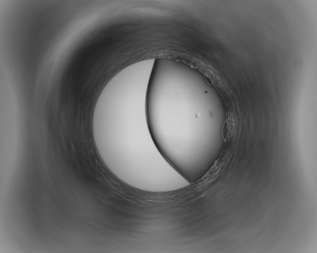 X0000116890762200912221004