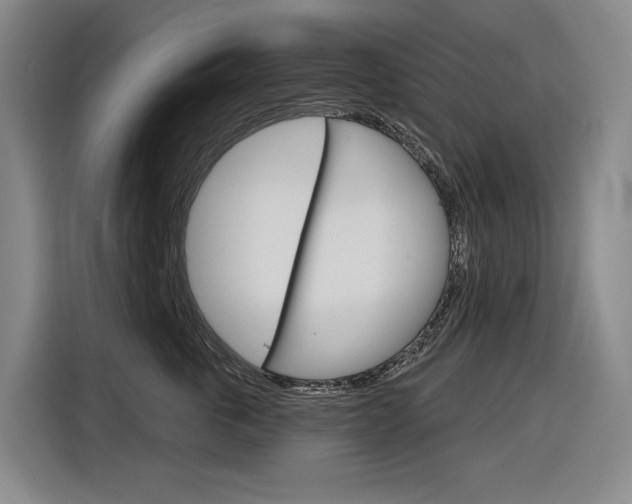 X0000116890763200912221004