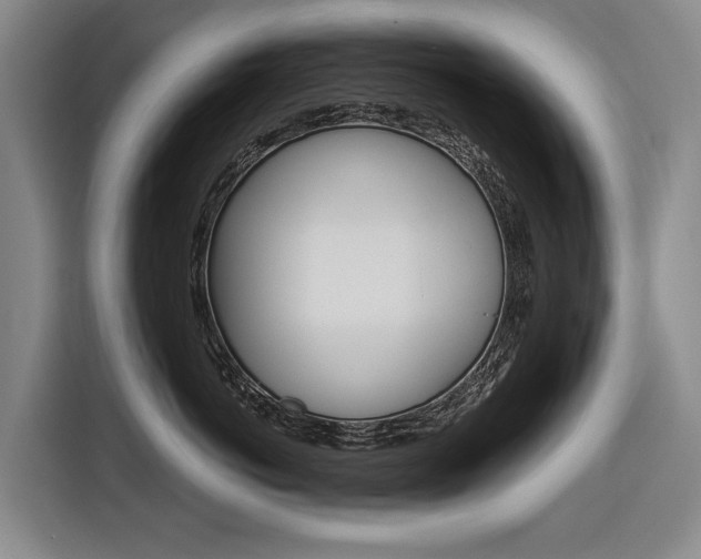 X0000116890766200912221004