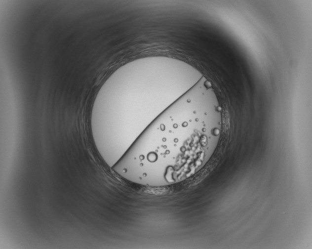 X0000116890767200912221004