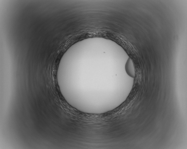 X0000116890770200912221003