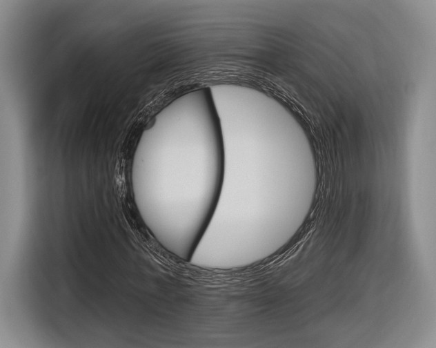 X0000116890771200912221003
