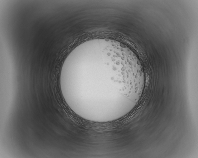 X0000116890772200912221003