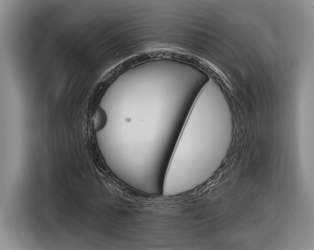 X0000116890775200912221003