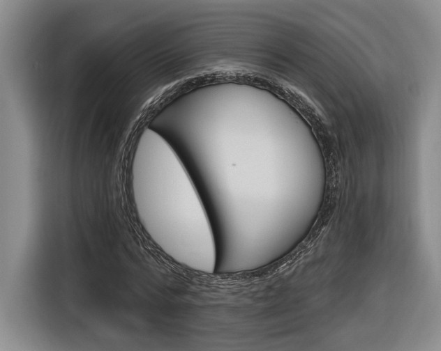 X0000116890776200912221003