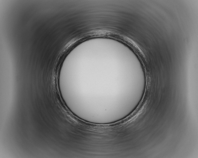 X0000116890778200912221003