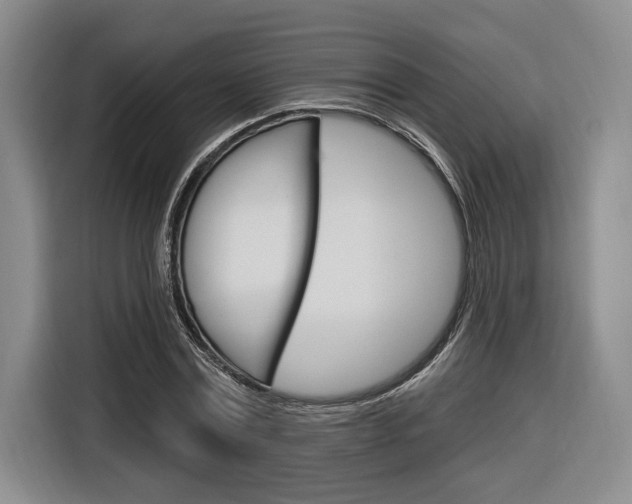 X0000116890779200912221003