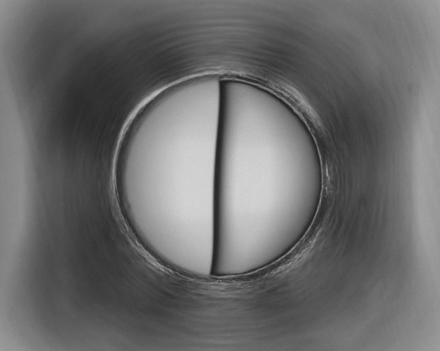 X0000116890780200912221003