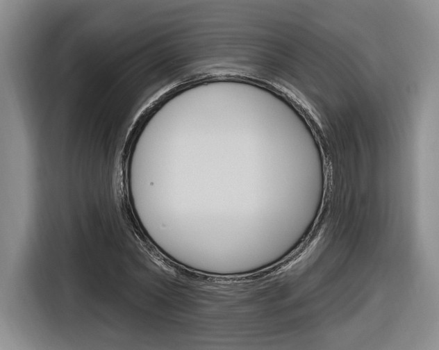 X0000116890782200912221003
