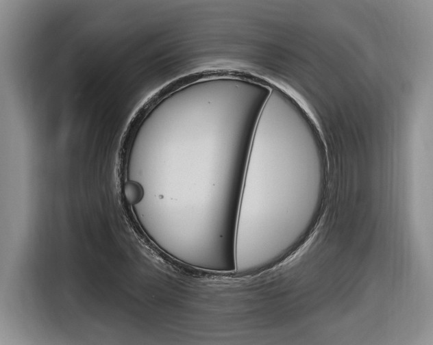 X0000116890783200912221003