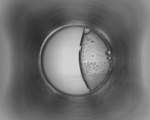 X0000116890784200912221003