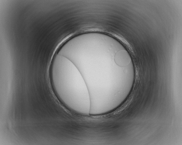X0000116890790200912221003
