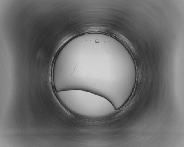 X0000116890794200912221003