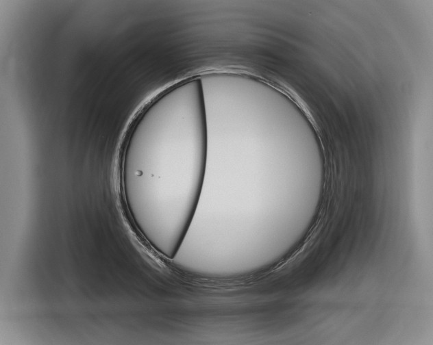 X0000116890795200912221003