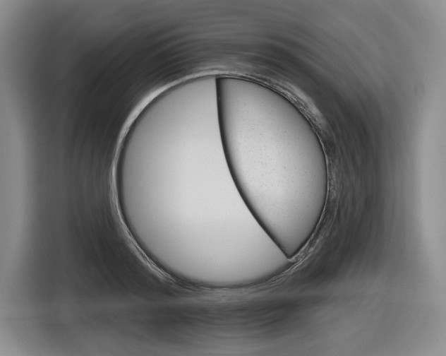 X0000116890796200912221003