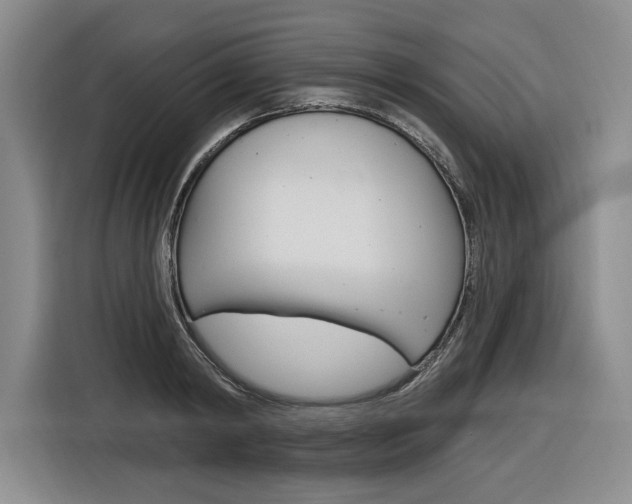X0000116890798200912221003