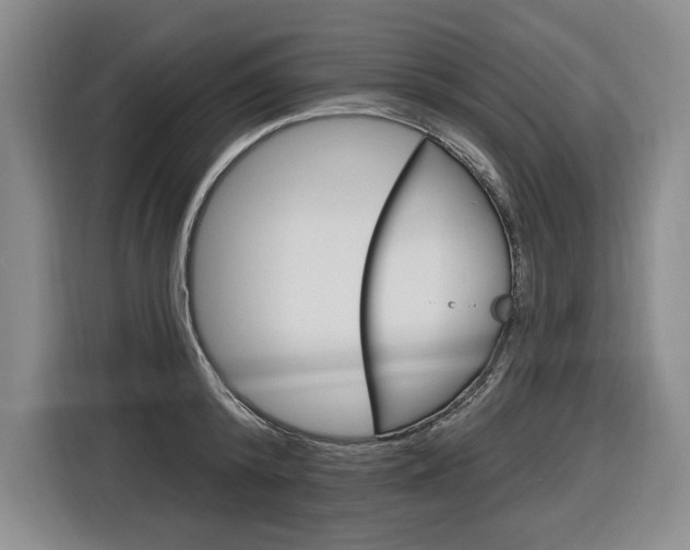 X0000116890800200912221003