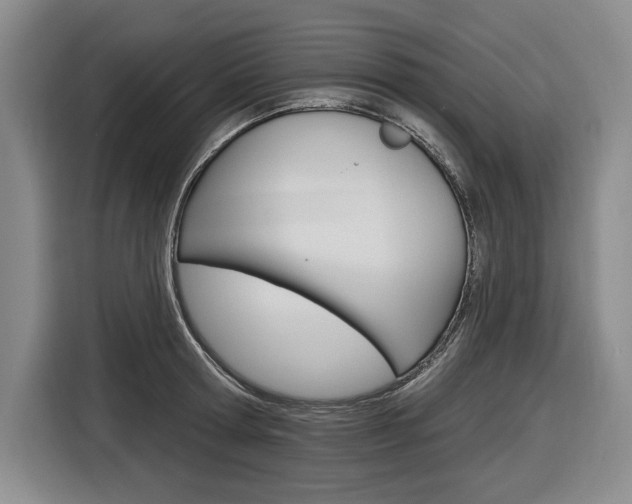 X0000116890802200912221003