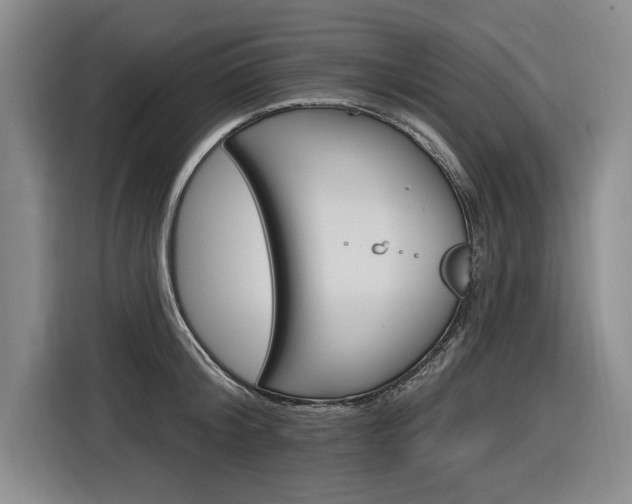 X0000116890804200912221003