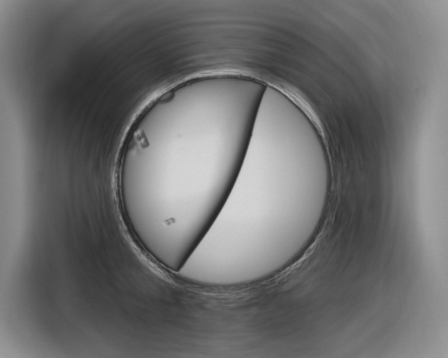 X0000116890805200912221003