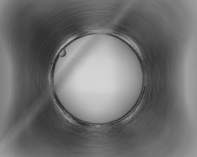X0000116890806200912221003