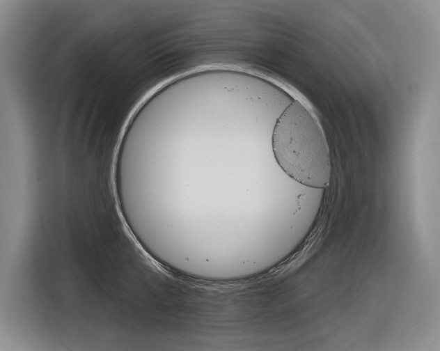 X0000116890807200912221003