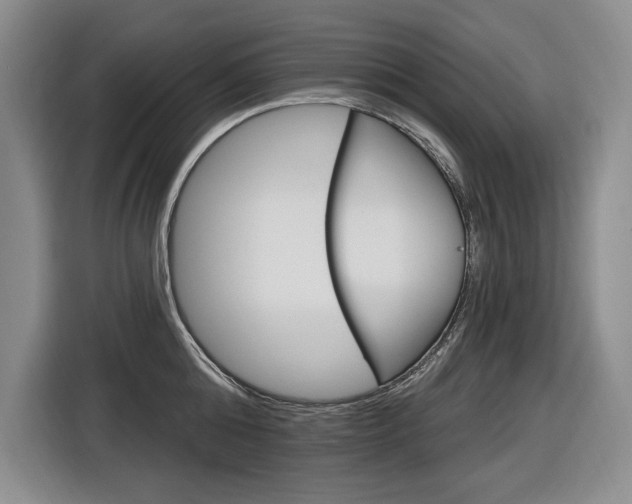 X0000116890808200912221003