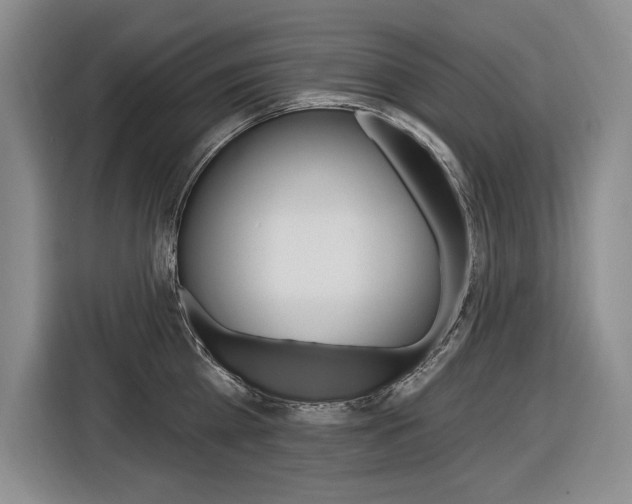 X0000116890809200912221003