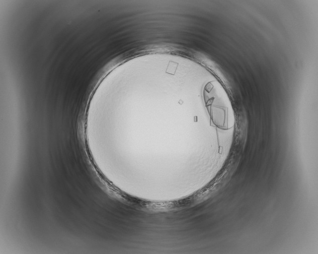 X0000116890810200912221003