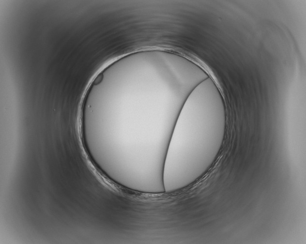 X0000116890811200912221003