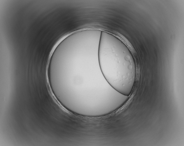 X0000116890812200912221003